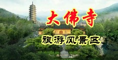 男人用鸡巴操女人的逼舔他的奶头免费视频网站中国浙江-新昌大佛寺旅游风景区